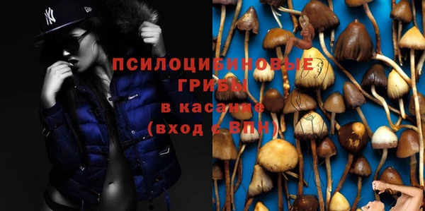 гидропоника Семёнов