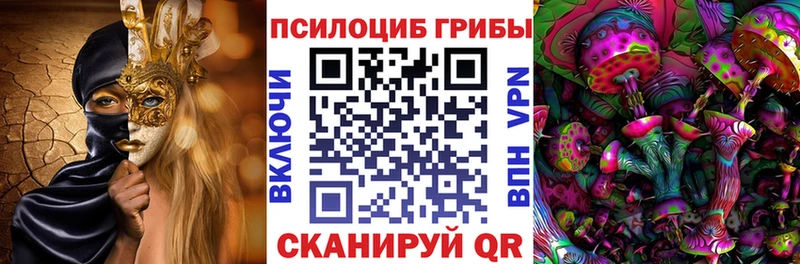 Псилоцибиновые грибы Psilocybine cubensis  Кумертау 