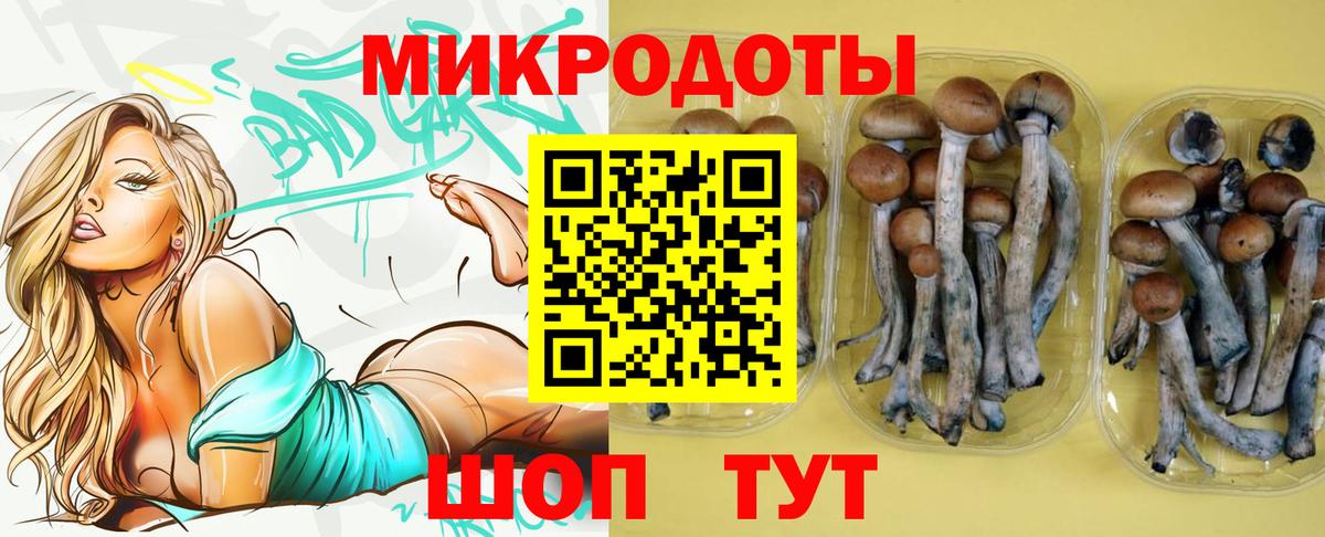 Кумертау  Псилоцибиновые грибы мицелий  Вход с VPN 