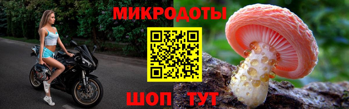 Галлюциногенные грибы Cubensis Кумертау