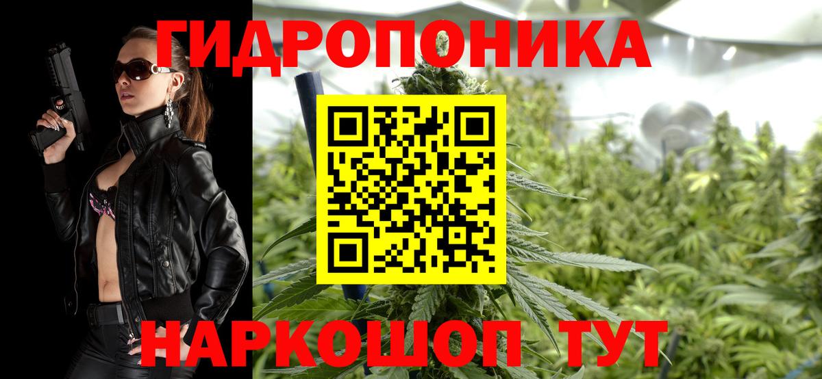 Шишки марихуана OG Kush Кумертау
